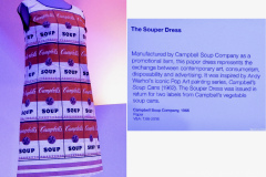 The 'Souper' dress